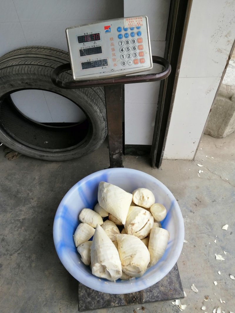 2020年蜀南竹海农户自制春笋干小规格熟切片笋干