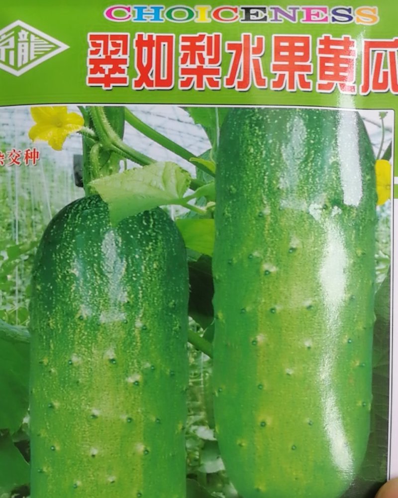 杂交水果黄瓜种子口口脆黄瓜种子可以生吃水分足