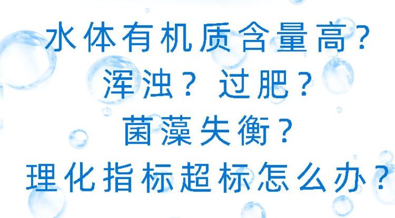 枯草芽孢杆菌改善水质水产养殖鱼虾蟹改底调水改良调节剂