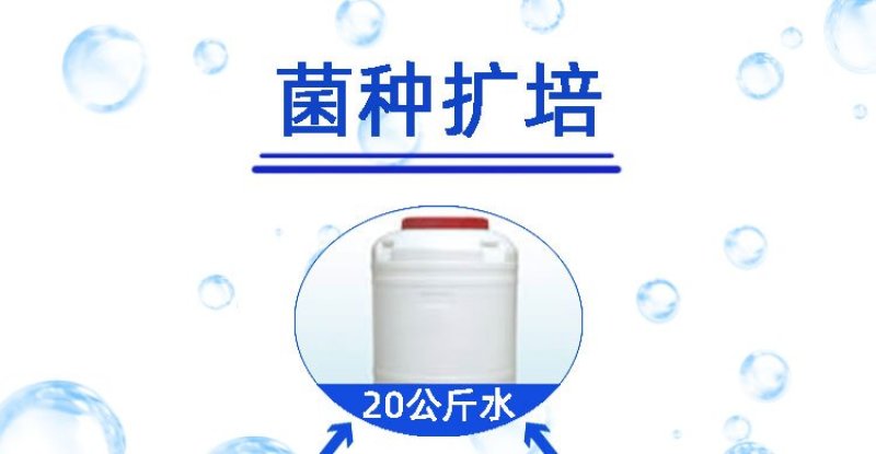 枯草芽孢杆菌改善水质水产养殖鱼虾蟹改底调水改良调节剂