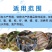枯草芽孢杆菌改善水质水产养殖鱼虾蟹改底调水改良调节剂