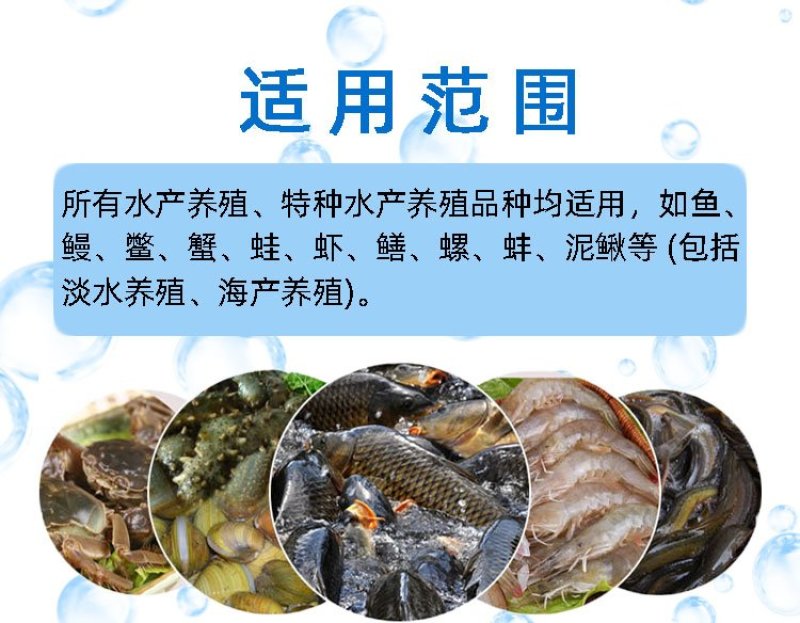 枯草芽孢杆菌改善水质水产养殖鱼虾蟹改底调水改良调节剂