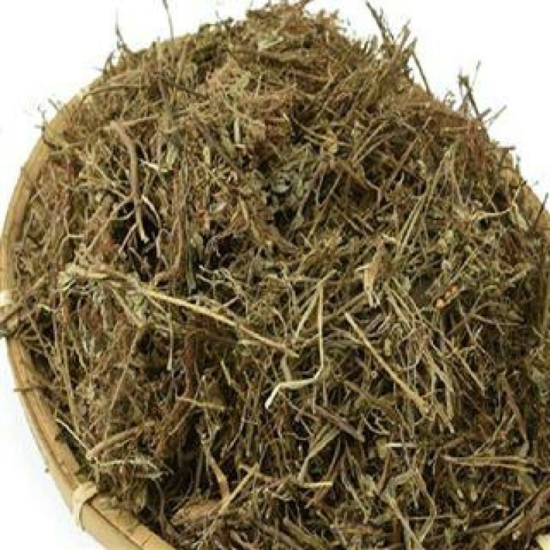 叶下珠，珍珠草常年批发供应