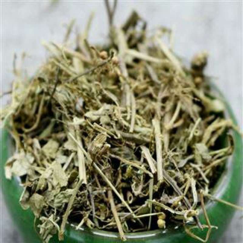 叶下珠，珍珠草常年批发供应