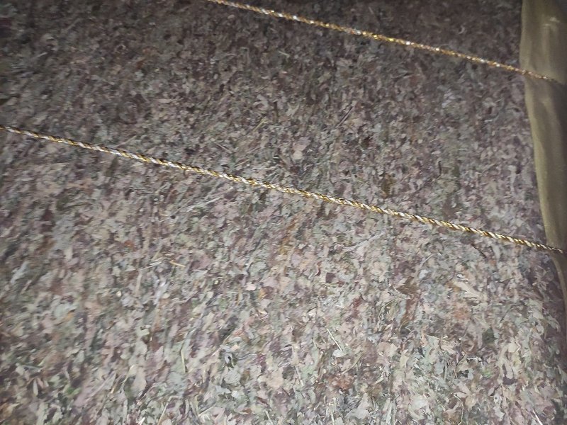 艾草叶，纯野生艾叶叶大杆少