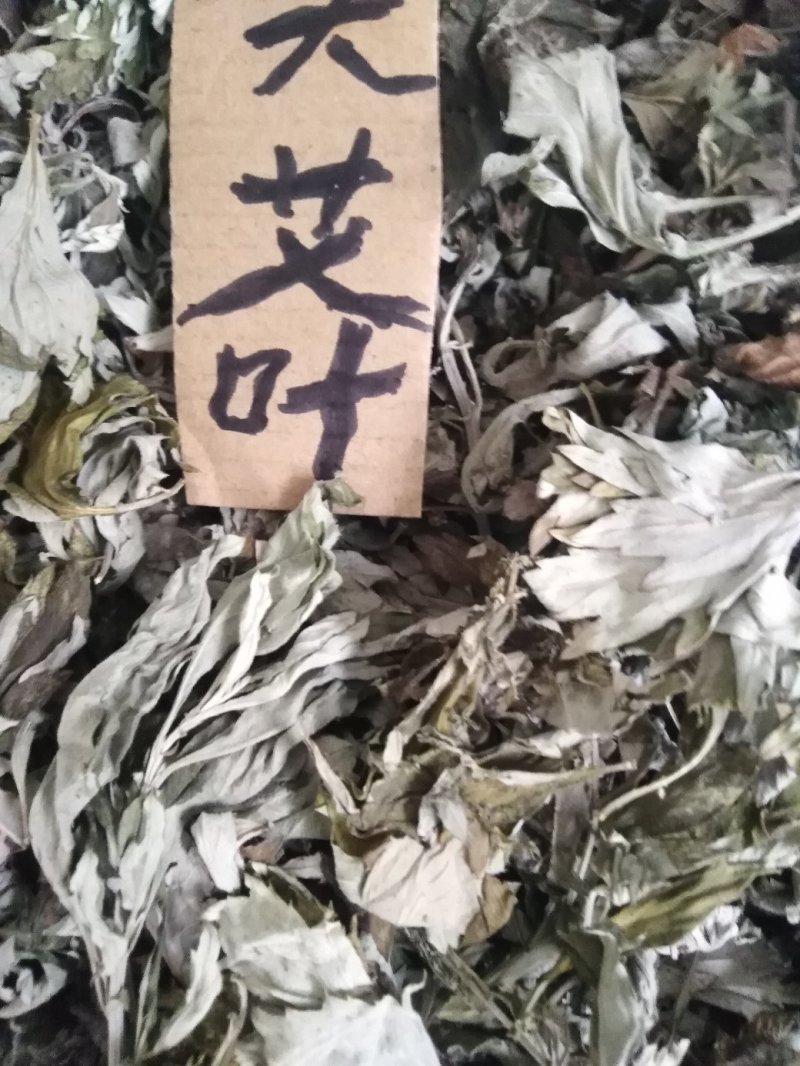 3年野生陈艾叶端午节，泡水冼高含量。有手选，保证质量长期