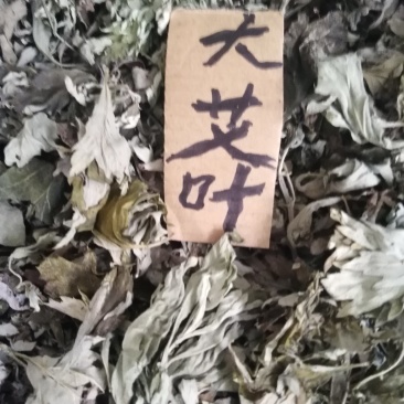 3年野生陈艾叶端午节，泡水冼高含量。有手选，保证质量长期