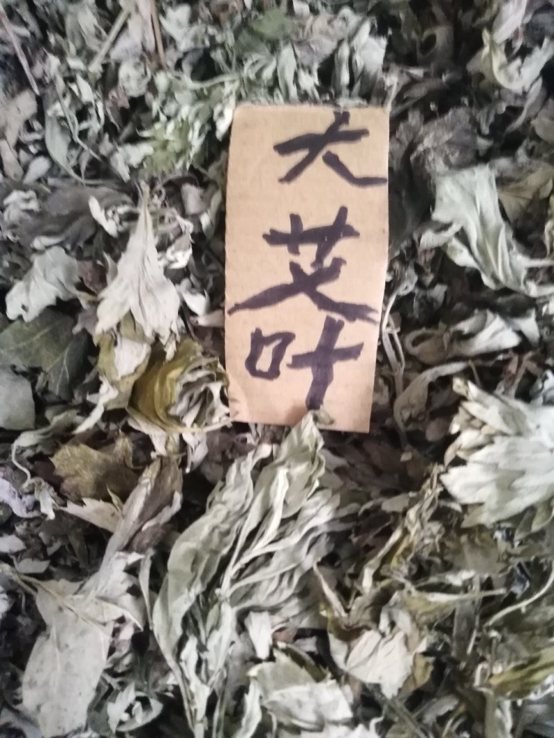3年野生陈艾叶端午节，泡水冼高含量。有手选，保证质量长期