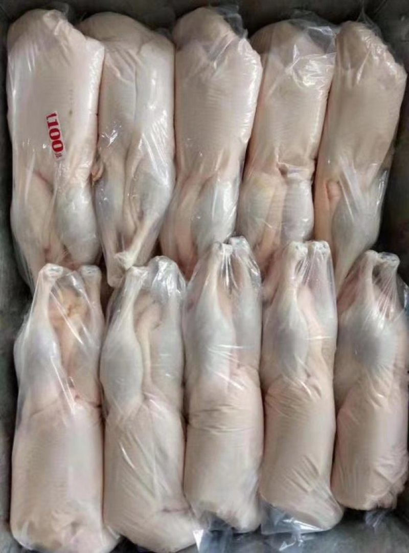 白条鸭