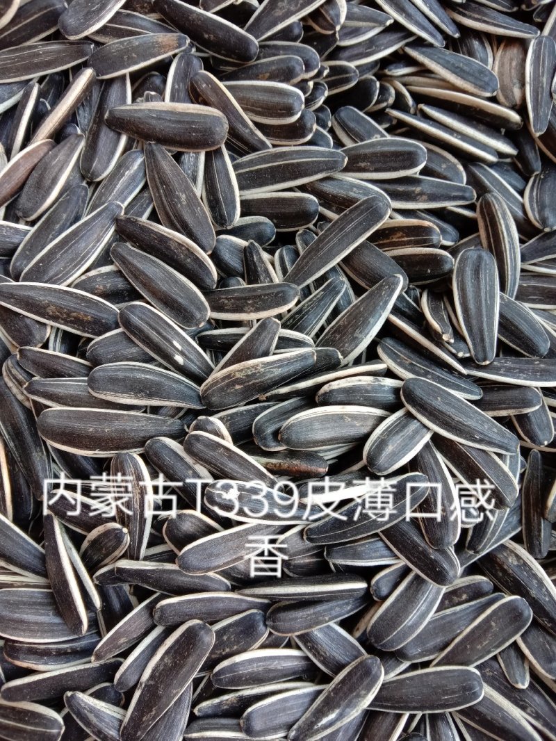 内蒙古3638生瓜子10斤装/袋（包邮）