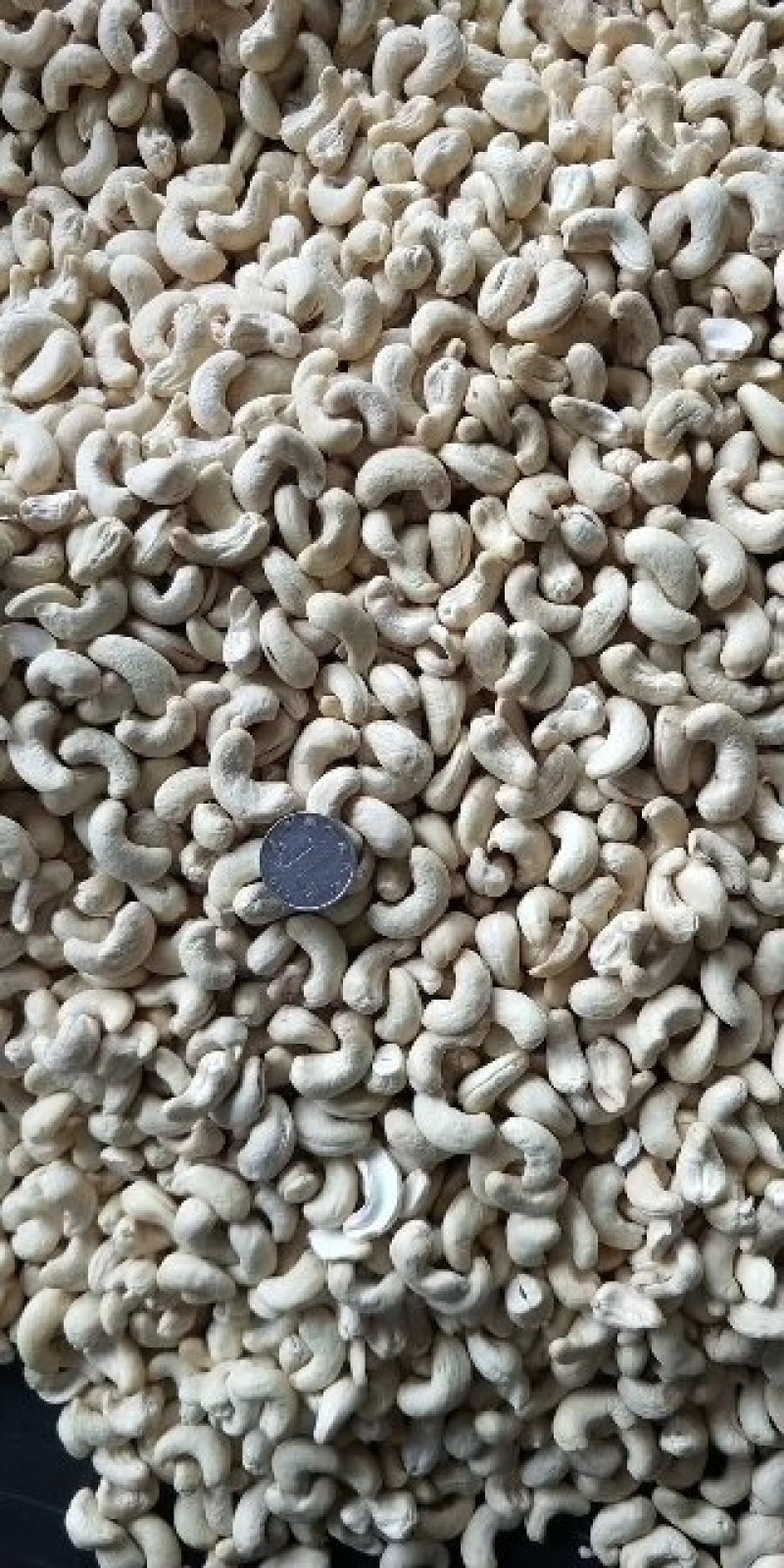 腰果批发WW系列WW系列A系列