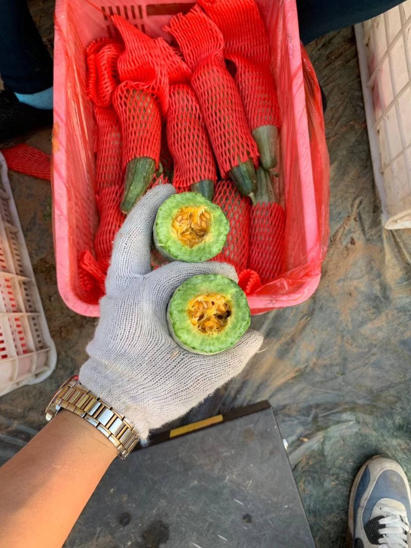精品羊角蜜，，，皮薄糖度高产地直供，货好价低