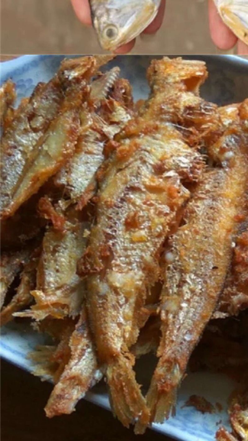 (聚便宜)马口鱼(三斤包邮)煎炸炖都非常好吃