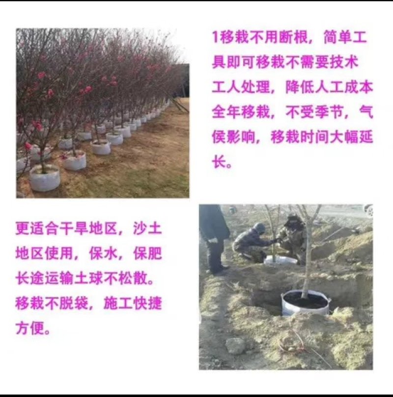 美植袋植树袋无防布手工活植树袋移植袋控根器育苗袋