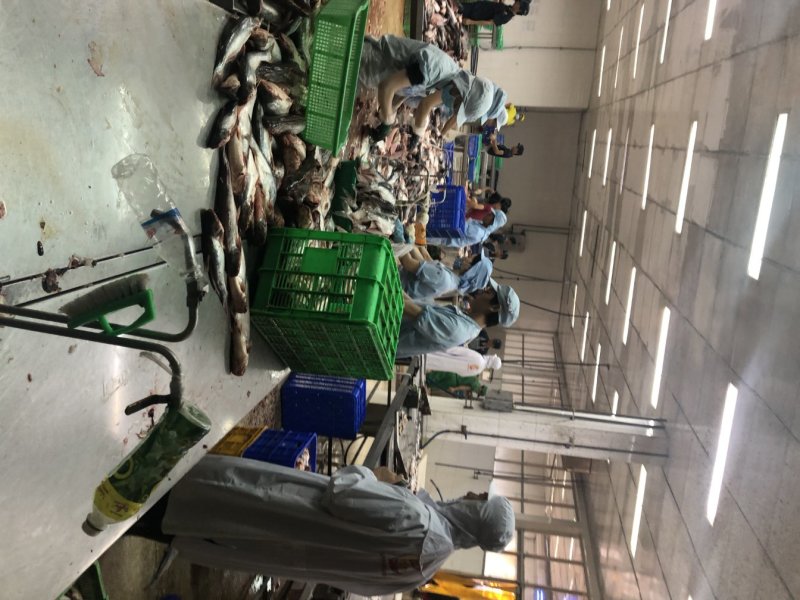 巴沙鱼柳