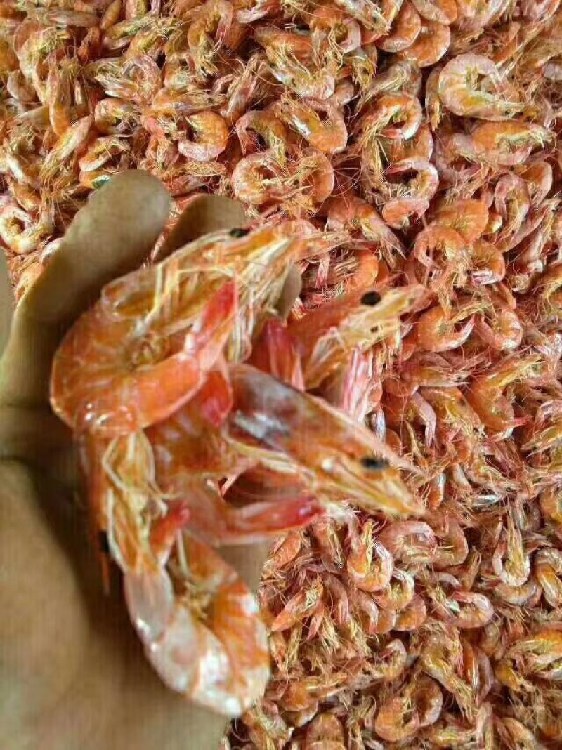 淡干无盐小烤虾，补钙，小零食，批发零售。