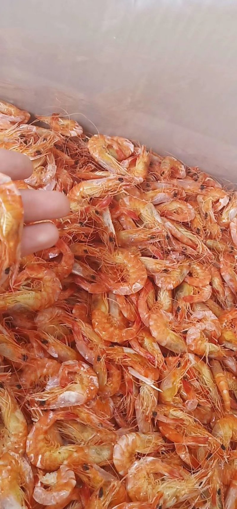 淡干无盐小烤虾，补钙，小零食，批发零售。