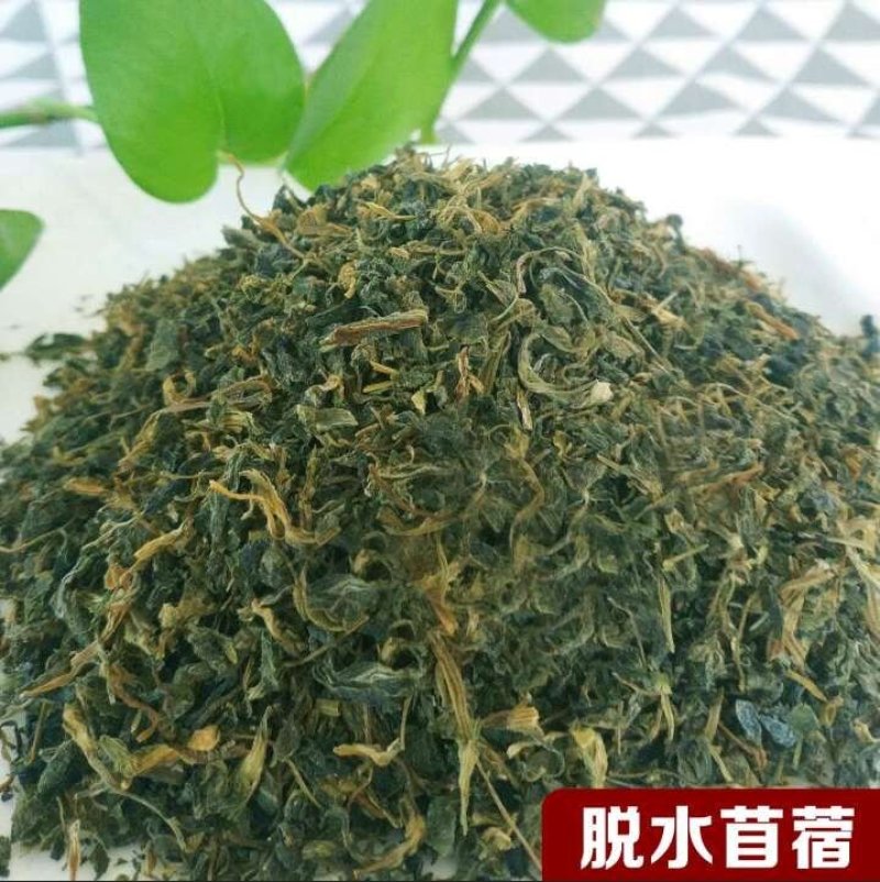 脱水干苜蓿长期合作饺子包子连锁店食品厂