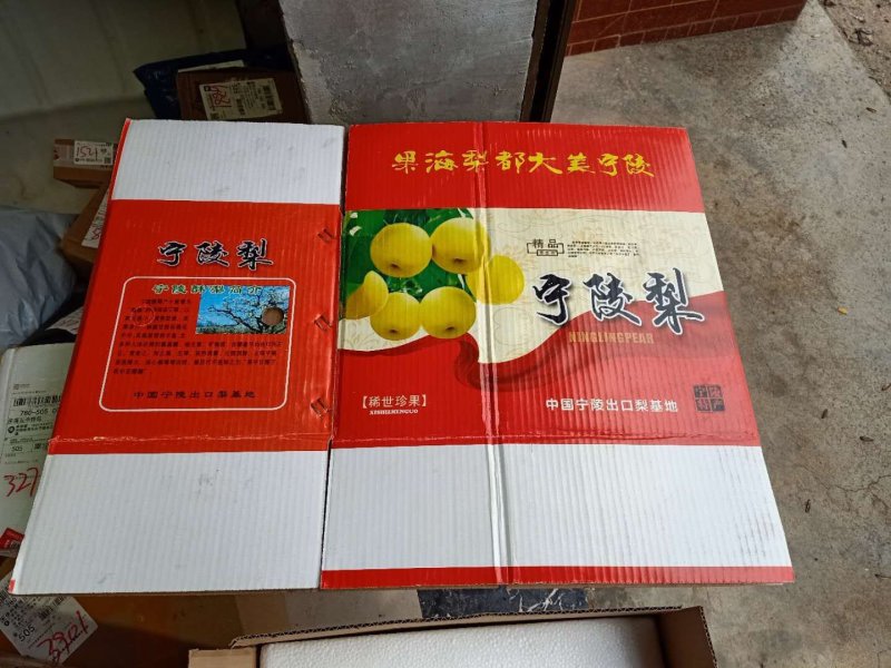 宁陵酥梨，产地直发，梨花桥村鲜水果大量上市中