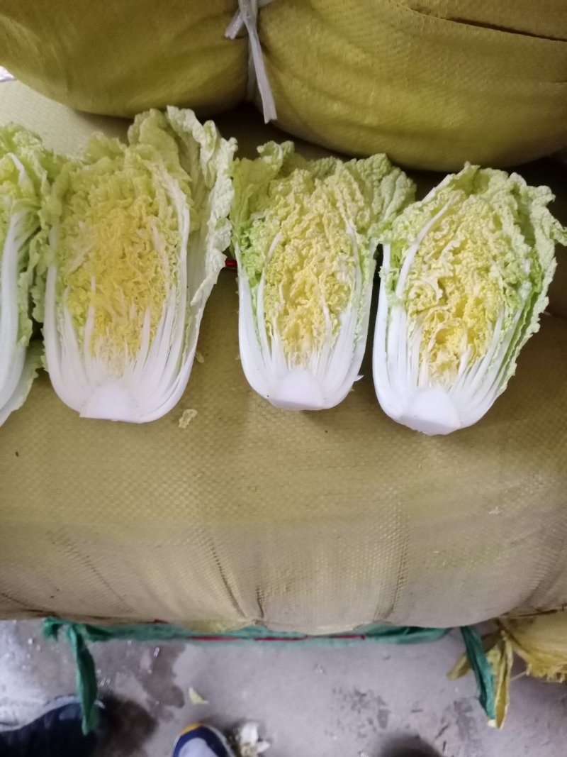 娃娃菜
