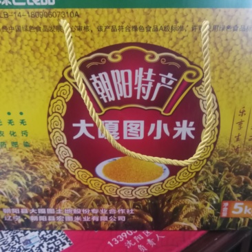 辽宁朝阳小米，毛毛谷老品种
