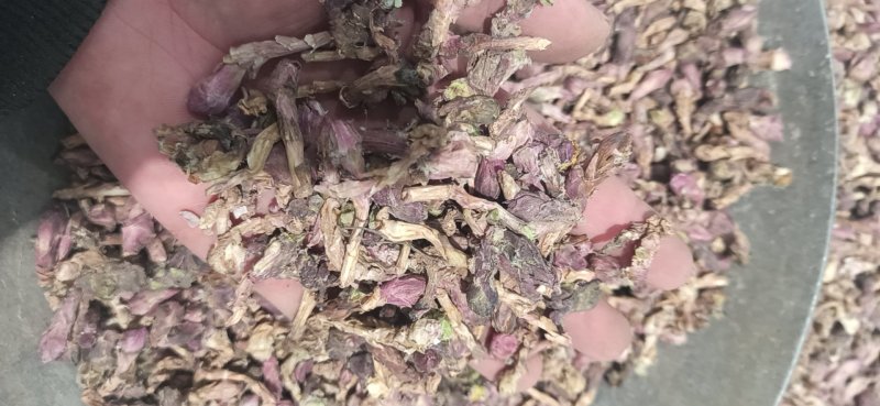款冬花中药材款冬花艾冬花九九花新货无杂