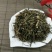 响铃草，常年批发供应冷背中药材农吉利，响铃草