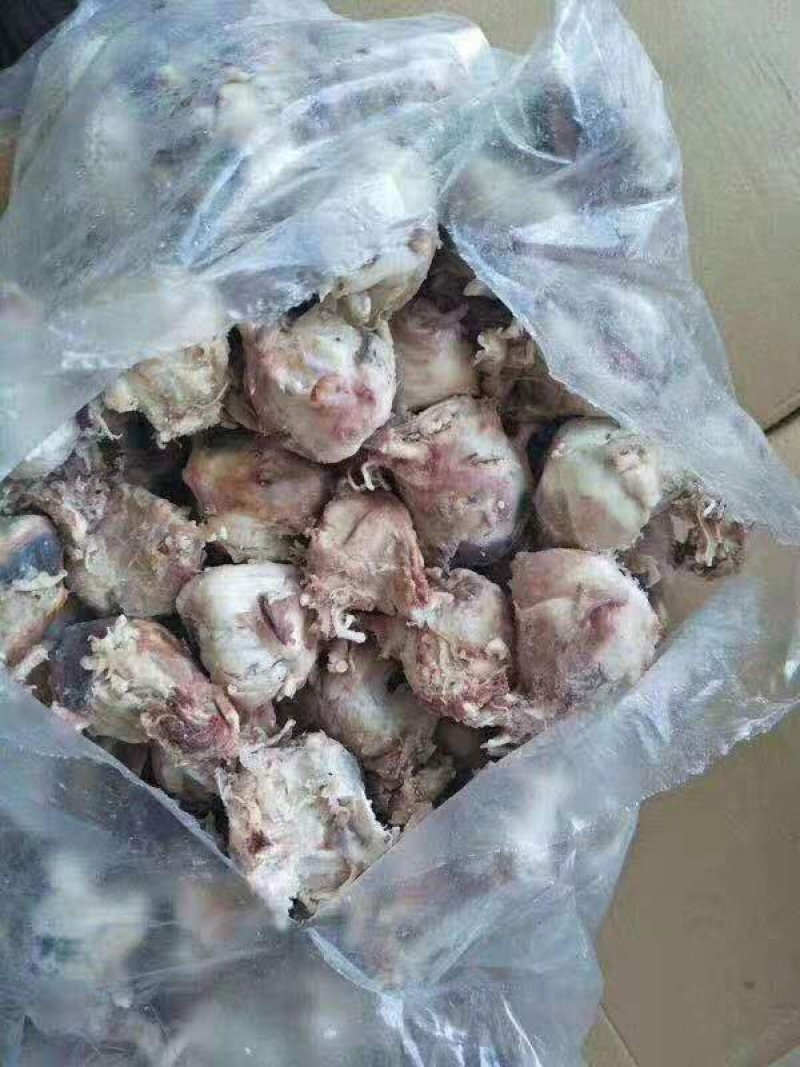 羊眼，烧烤合适，实拍，质量保证，量大可议价