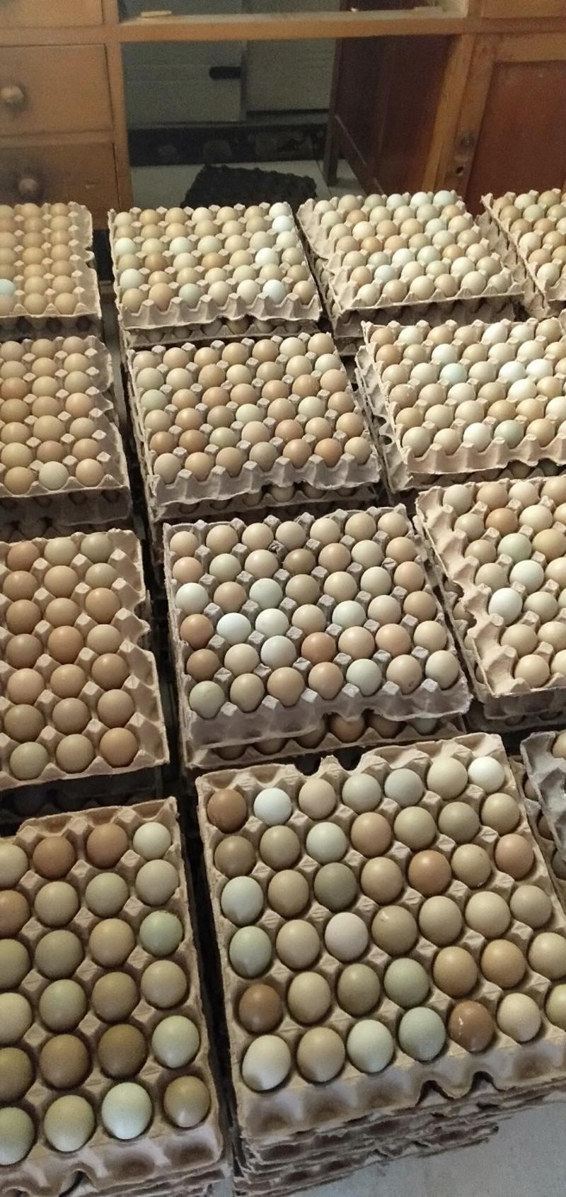 野鸡蛋。