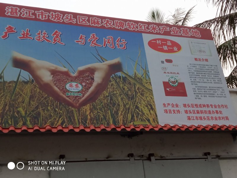软红米
