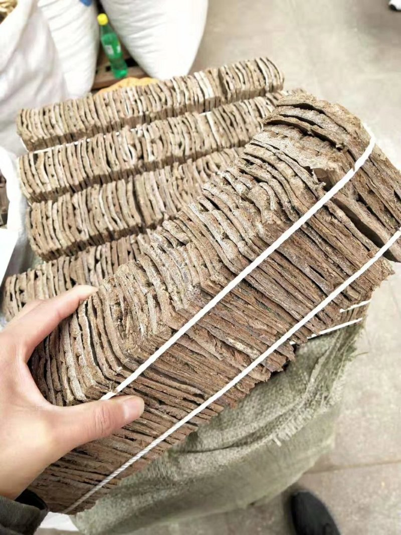 杜仲皮杜仲品质保证优质药材