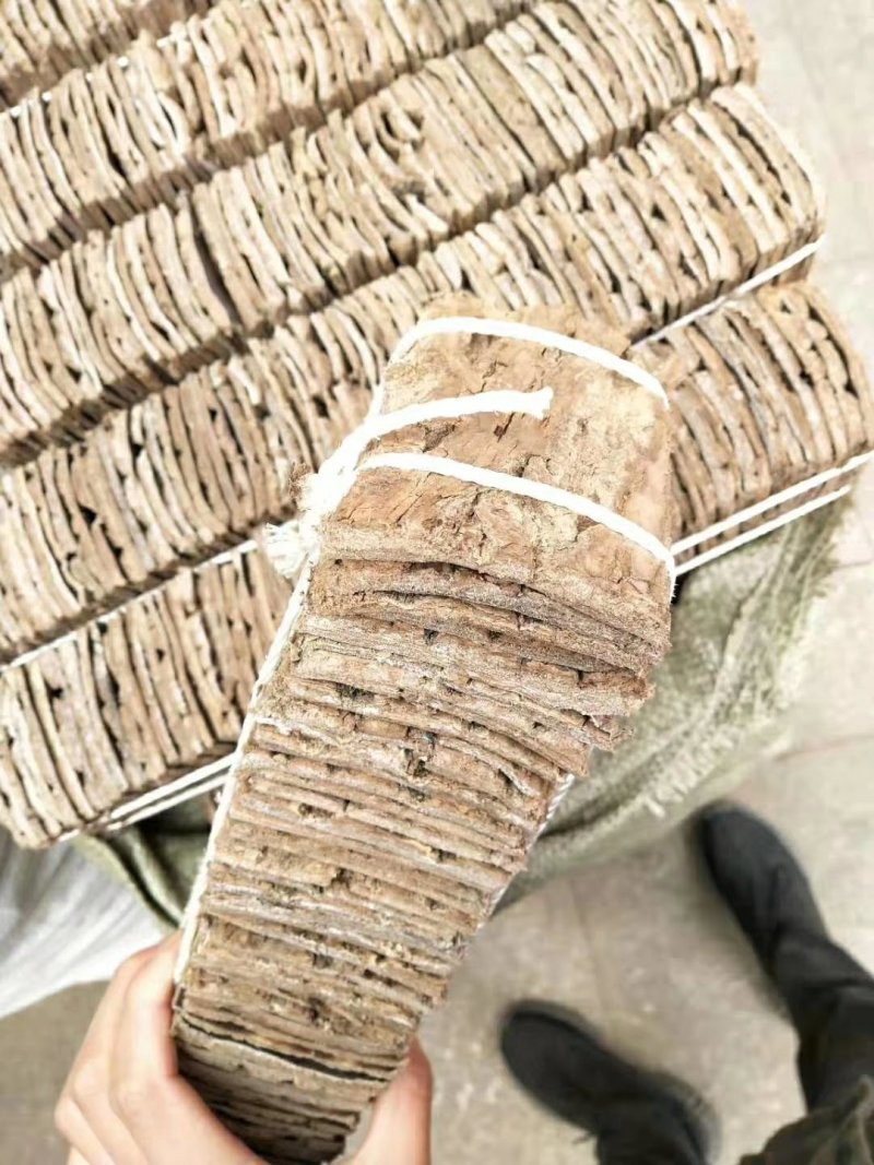 杜仲皮杜仲品质保证优质药材