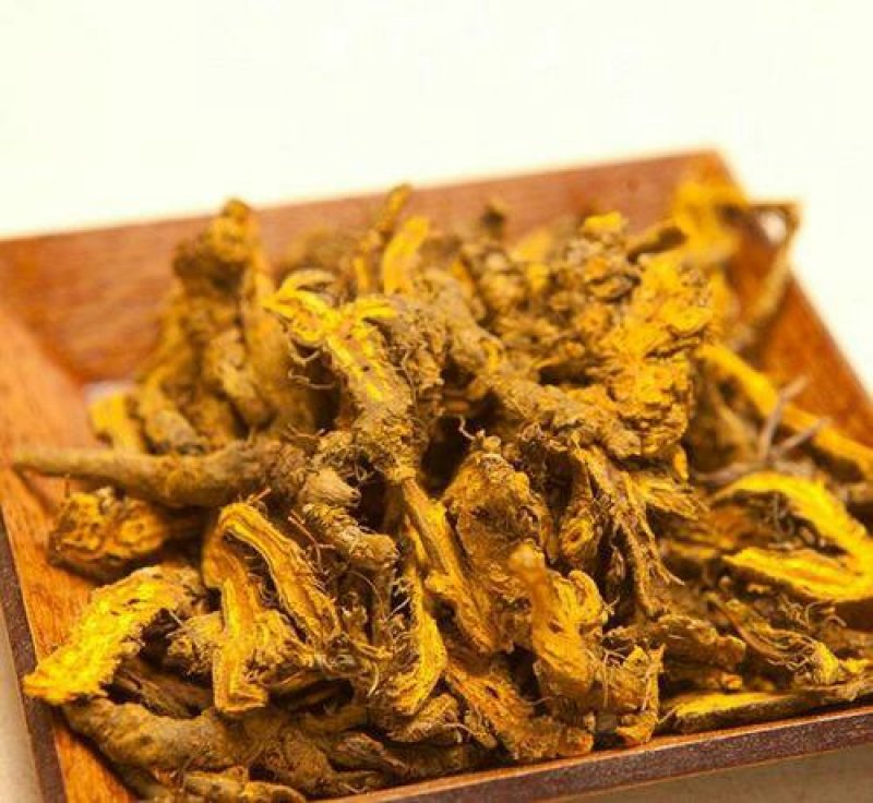 黄连，常年批发供应黄连，胡黄连