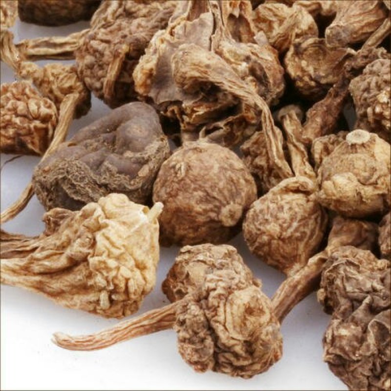 珠子参，扣子七，常年批发供应冷背中药材