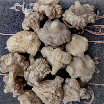 珠子参，扣子七，常年批发供应冷背中药材