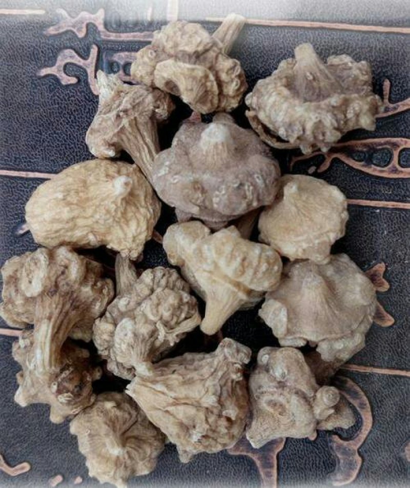 珠子参，扣子七，常年批发供应冷背中药材