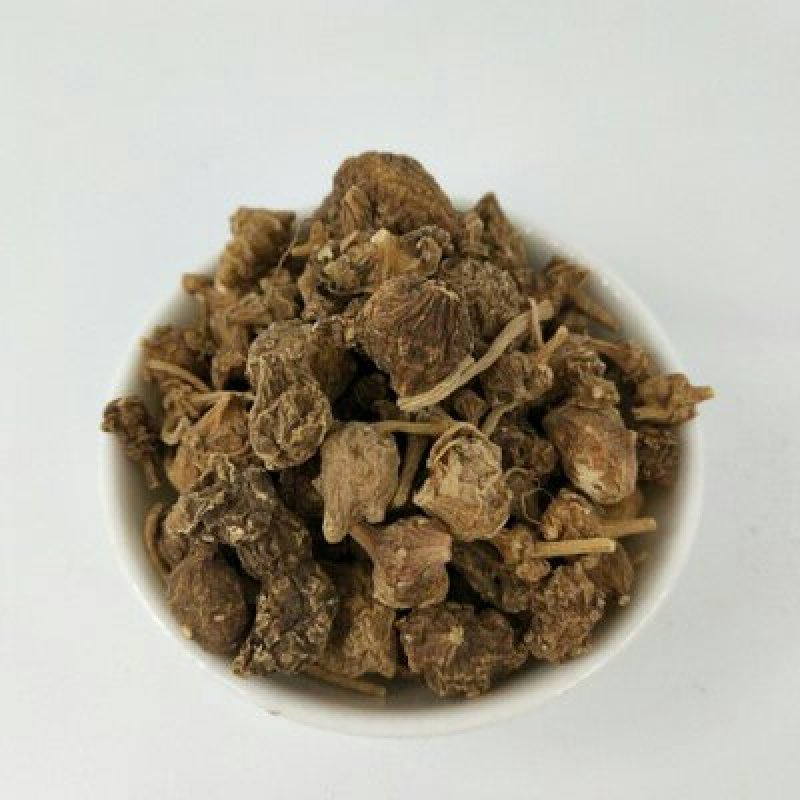 珠子参，扣子七，常年批发供应冷背中药材