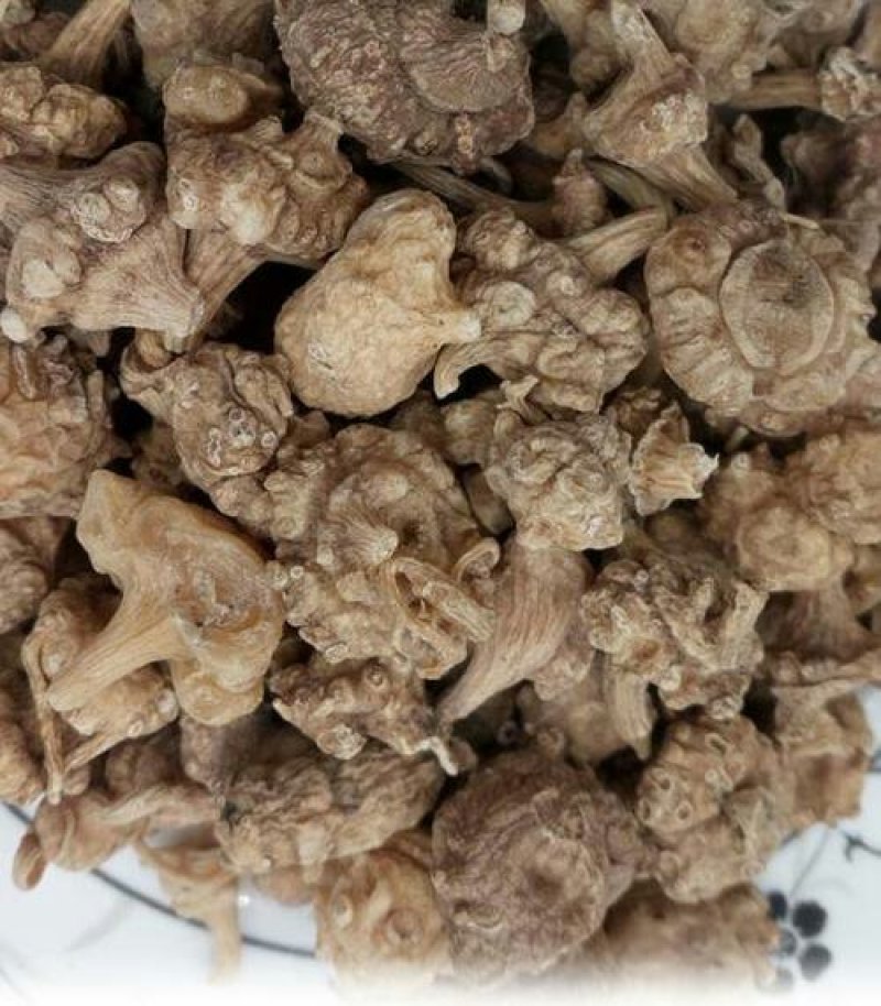 珠子参，扣子七，常年批发供应冷背中药材