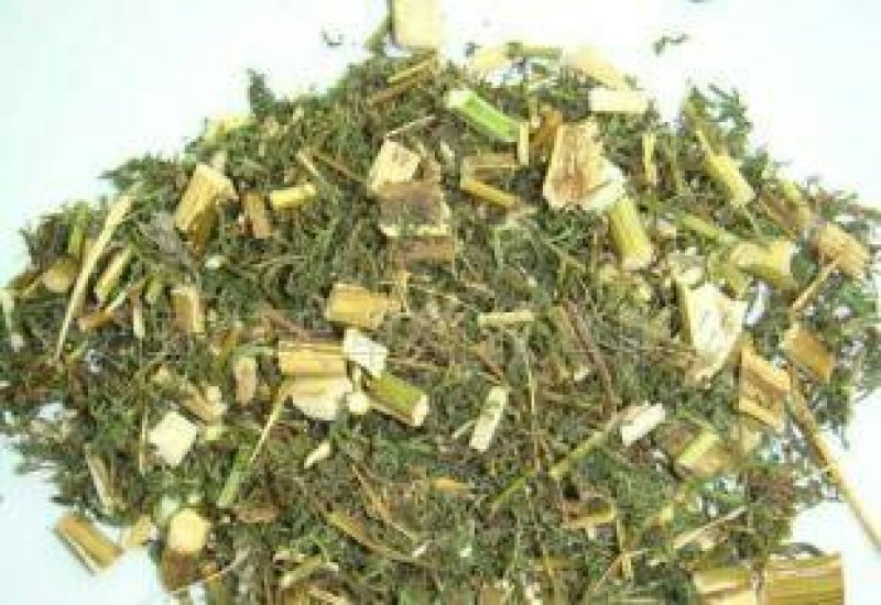青蒿，常年批发供应青蒿中草药