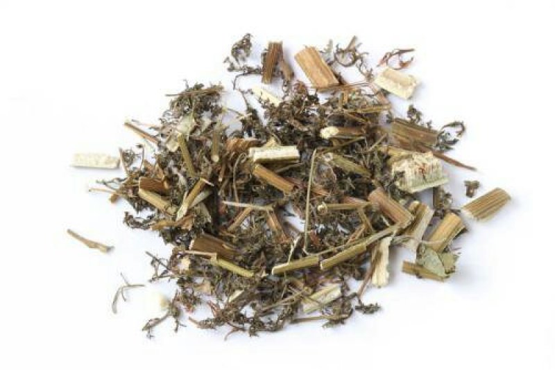 青蒿，常年批发供应青蒿中草药