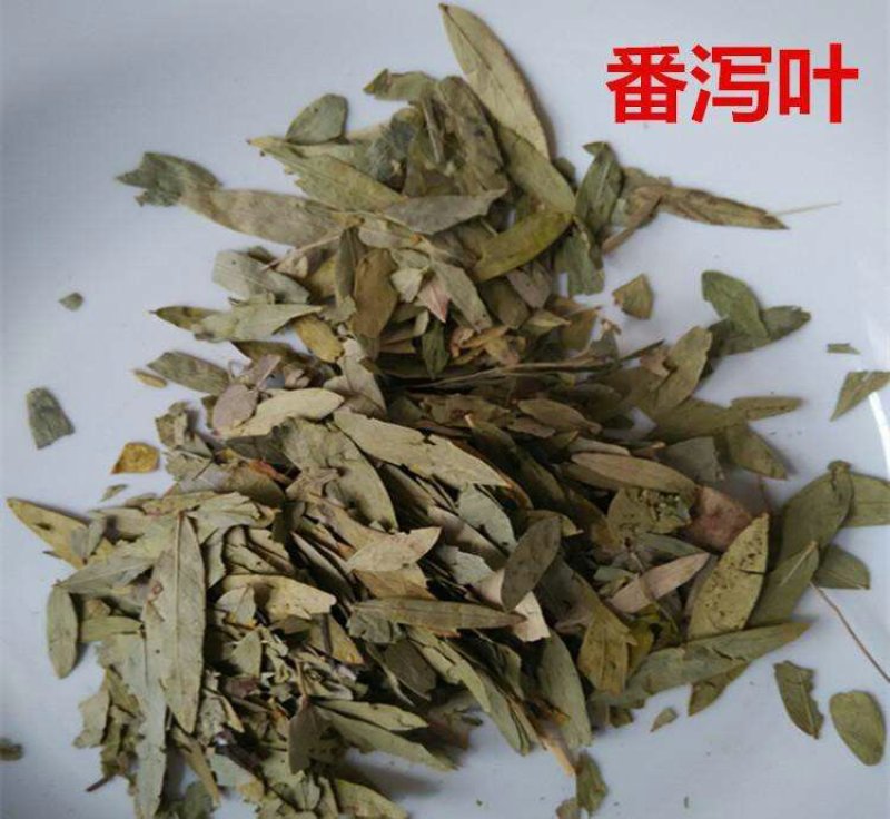 番泻叶，常年批发供应番泻叶中药材
