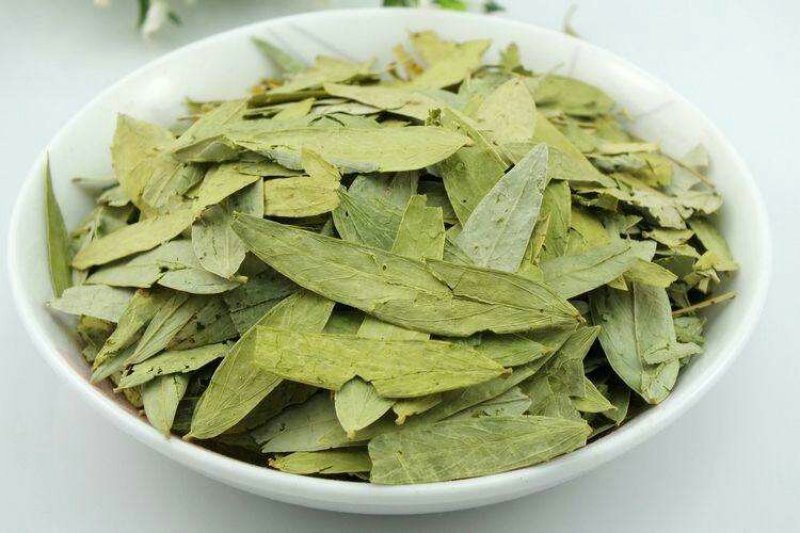 番泻叶，常年批发供应番泻叶中药材