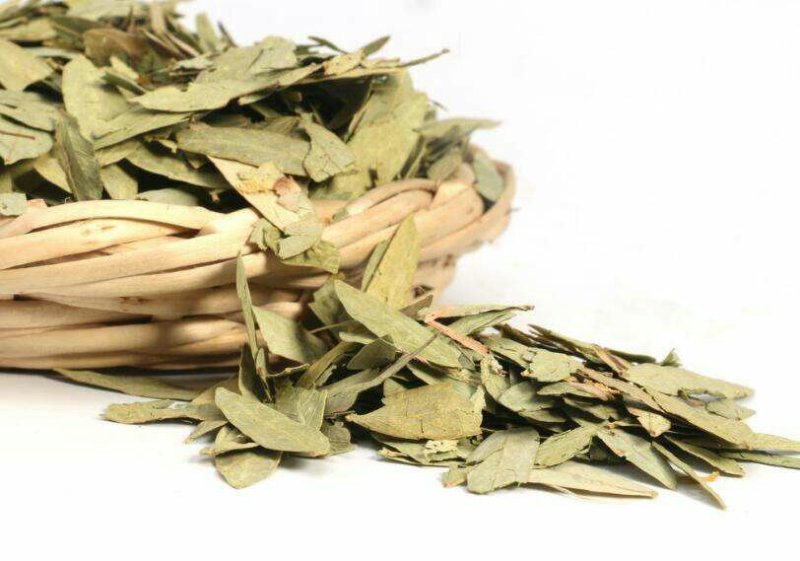 番泻叶，常年批发供应番泻叶中药材