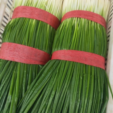 蔬菜代收