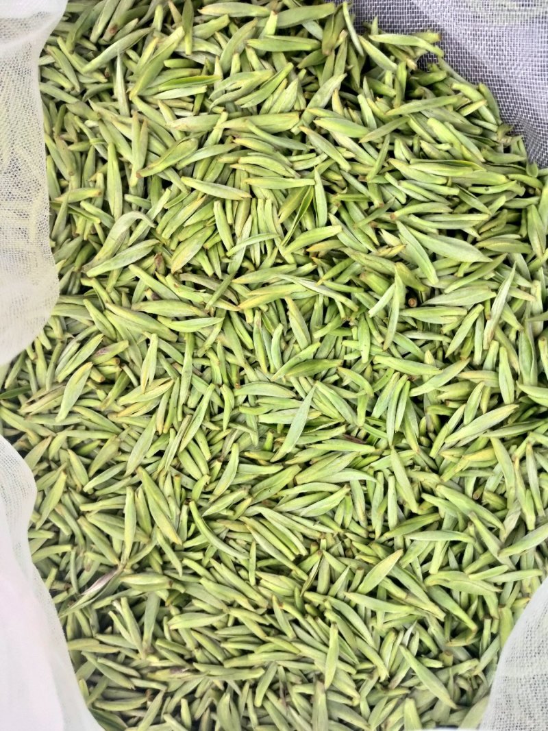 2020峨眉半山绿茶茶香四溢毛尖茶