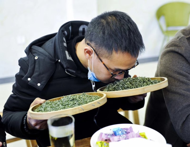 2020峨眉半山绿茶茶香四溢毛尖茶