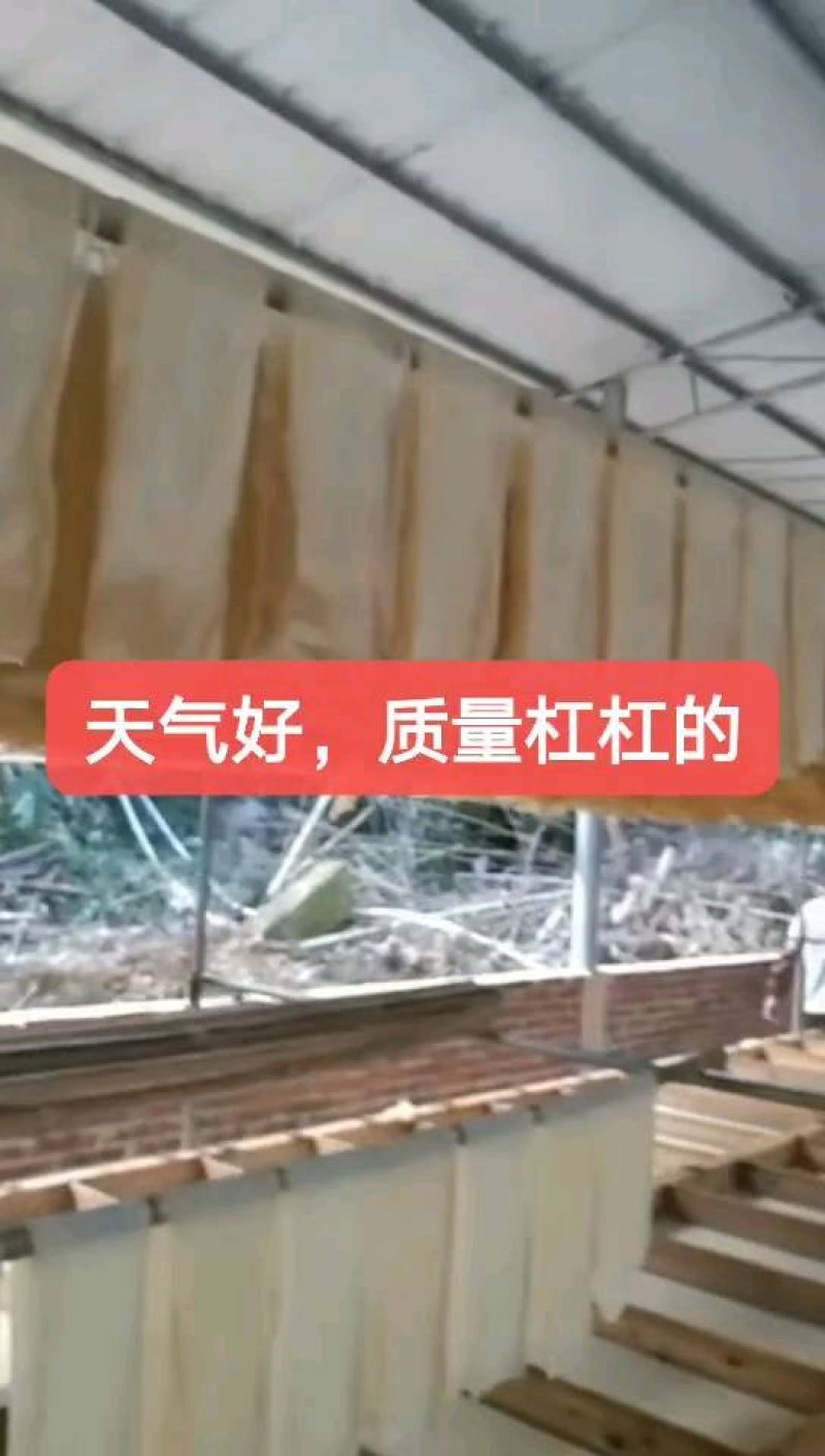 清远英德九龙山泉水手工腐竹