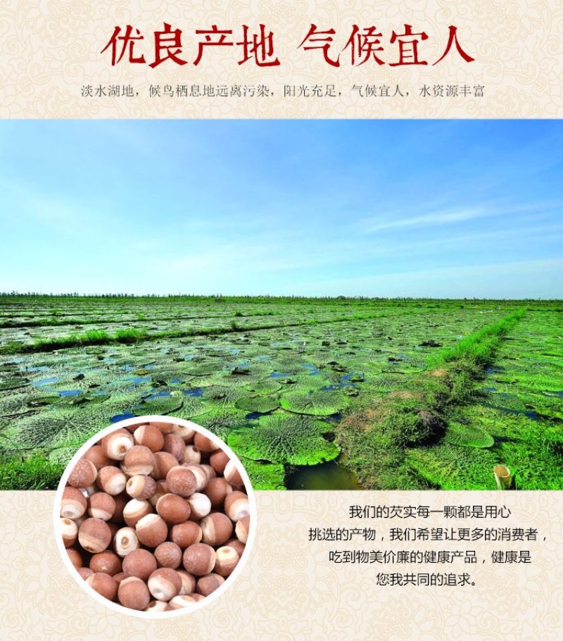 芡实广东肇庆芡实芡实碎粒各种规格一斤起售