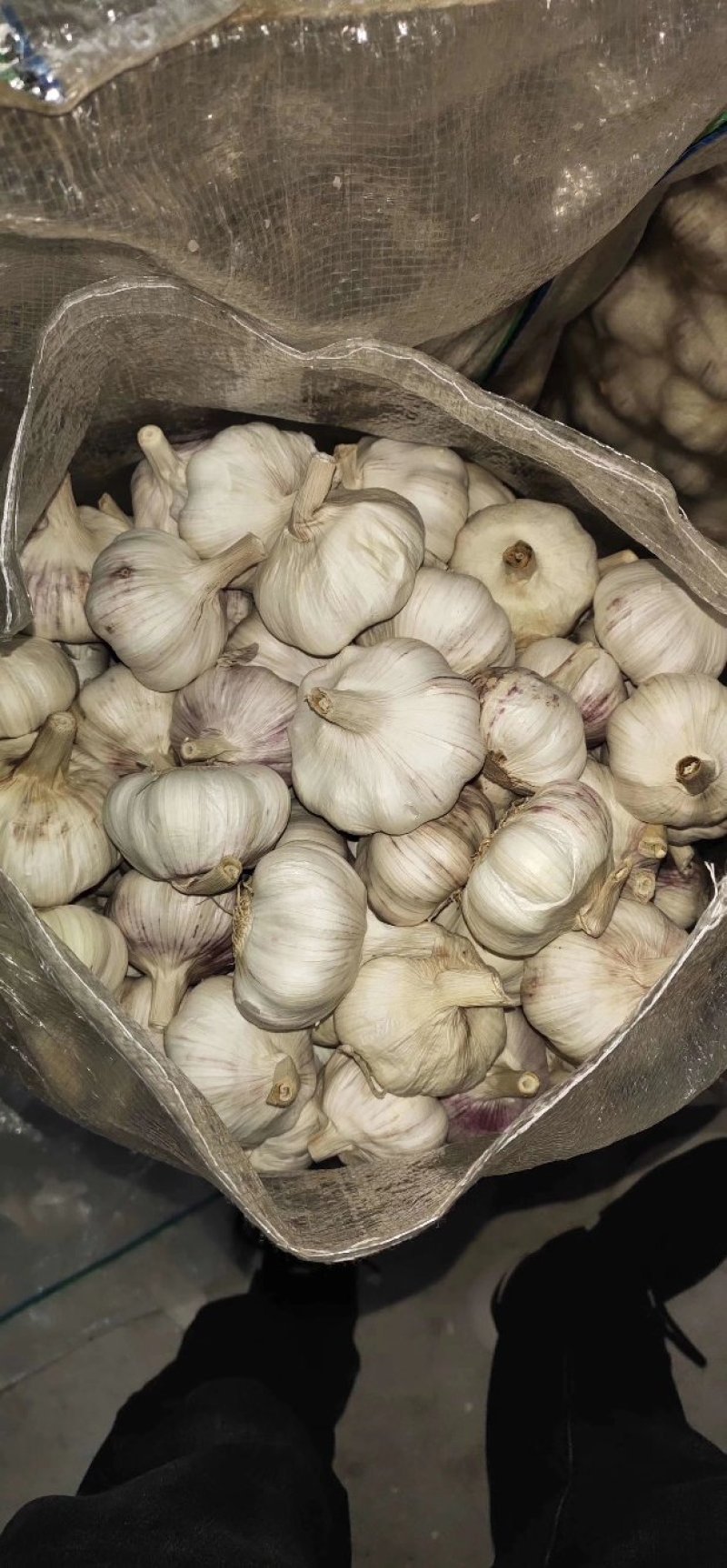 【精品大蒜】大量上市产地直供保质保量货源充足