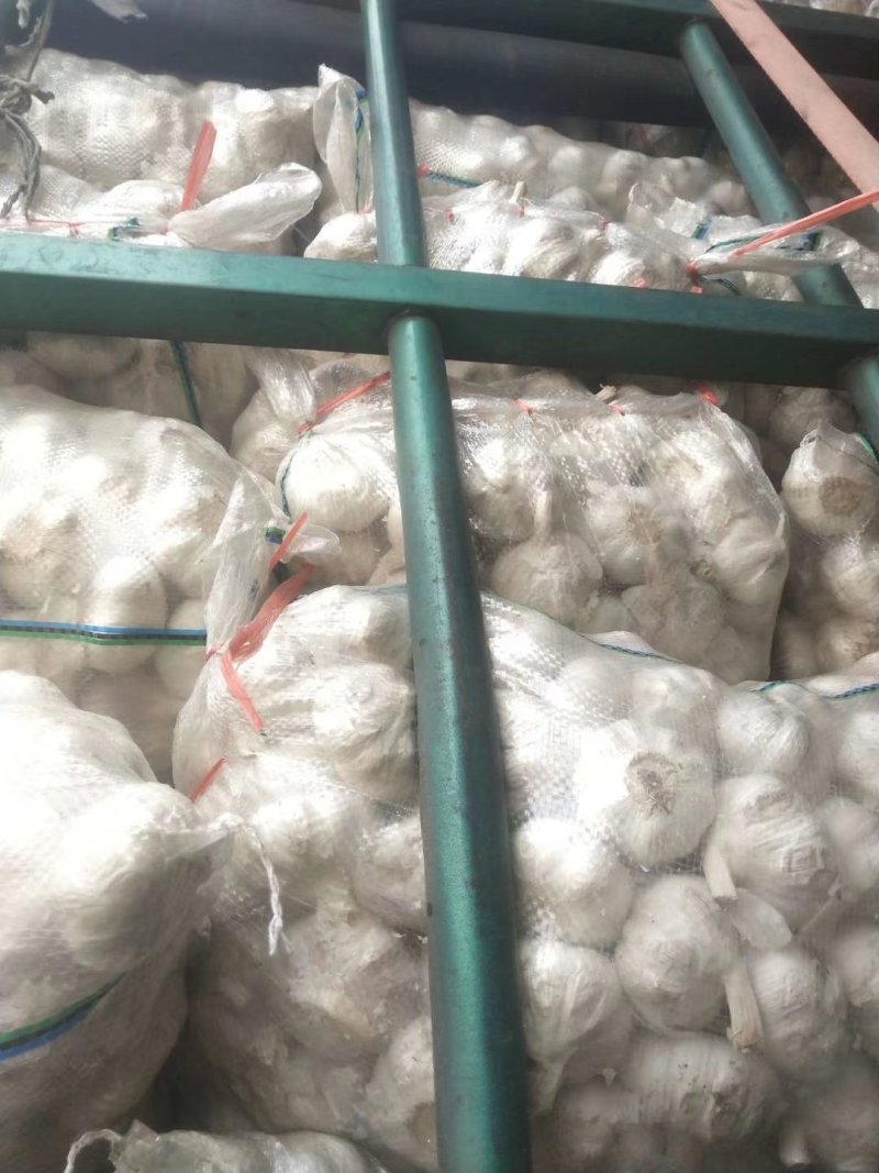 【精品大蒜】大量上市产地直供保质保量货源充足